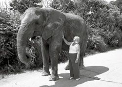 Photo of Rhonda Kittle with an elephant