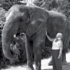Rhonda Kittle with an elephant. Links to her story