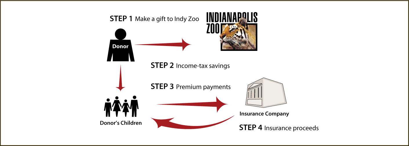 Life Insurance to Replace Gift Thumbnail