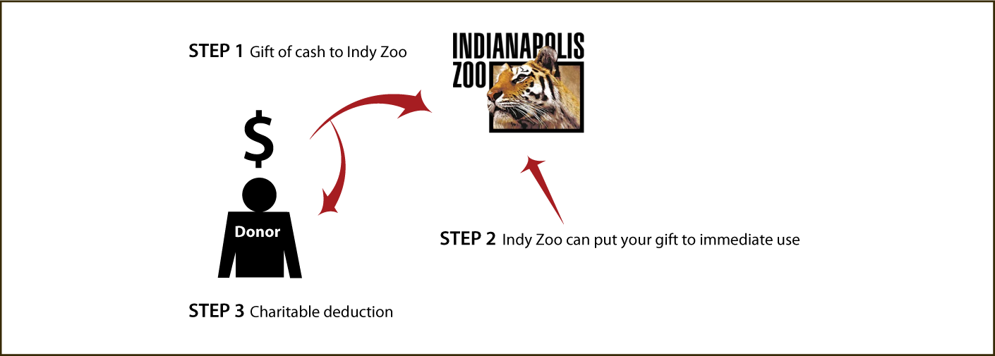 Cash, Checks, and Credit Cards Diagram. Description of image is listed below.
