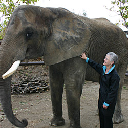 Photo of Kay Koch with an elephant