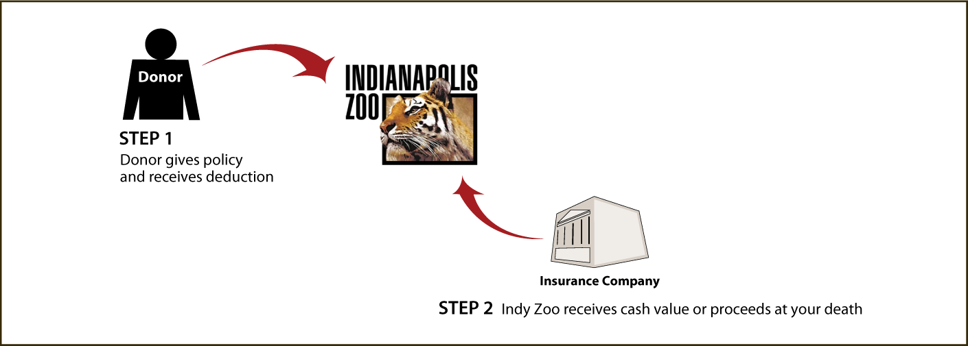 Life Insurance Policy Thumbnail