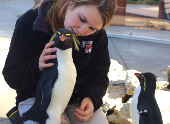 Photo of a trainer with a penguin. Links to Closely Held Business Stock