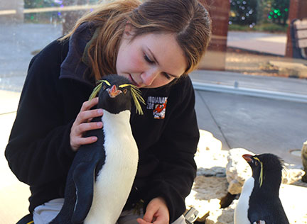 Photo of a trainer with a penguin. Links to Closely Held Business Stock