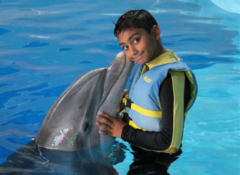 Photo of a boy with a dolphin. Links to Gifts by Estate Note